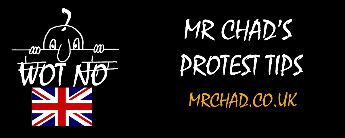 Mr Chads Protest Tips